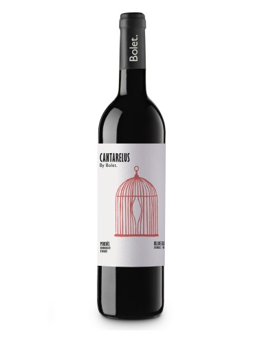 VI NEGRE CANTARELUS ULL DE LLEBRE 21...
