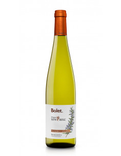 BOLET VI VINYA SOTA BOSC 24 ECO PENEDES