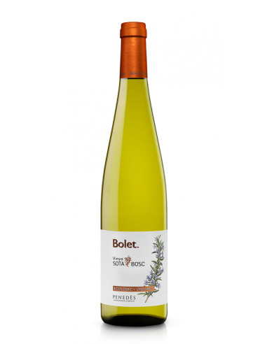 BOLET VI VINYA SOTA BOSC 24 ECO PENEDES