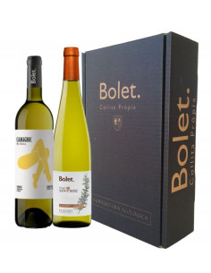 VINO BLANCO VINYA SOTA BOSC I CAMAGROC CON ESTUCHE