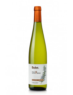 BOLET VI VINYA SOTA BOSC 25 ECO PENEDES