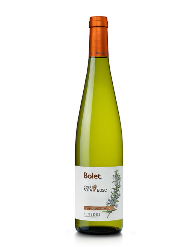BOLET VI VINYA SOTA BOSC 25 ECO PENEDES