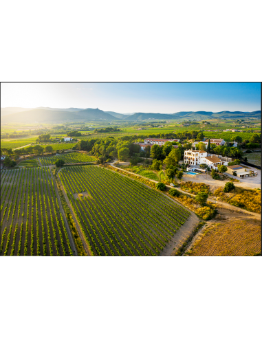 VISIT PREMIUM - WINE GIFT PREMIUM