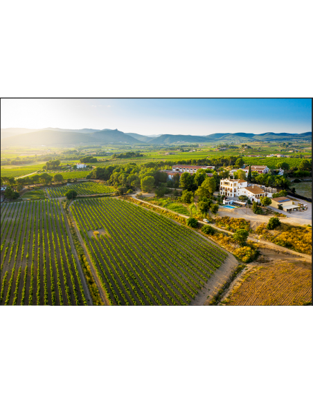 VISIT PREMIUM - WINE GIFT PREMIUM