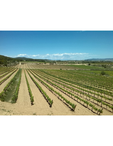 VISIT PREMIUM - WINE GIFT PREMIUM