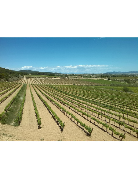 VISIT PREMIUM - WINE GIFT PREMIUM