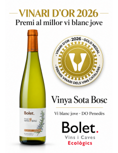 BOLET VI VINYA SOTA BOSC 25 ECO PENEDES