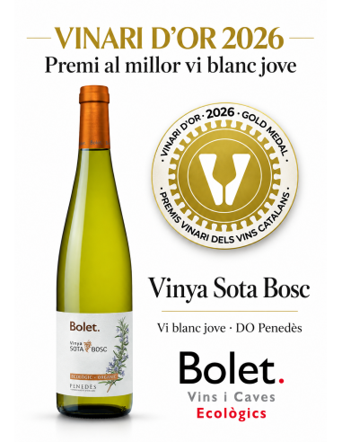 BOLET VI BLANC VINYA SOTA BOSC 25 ECO...