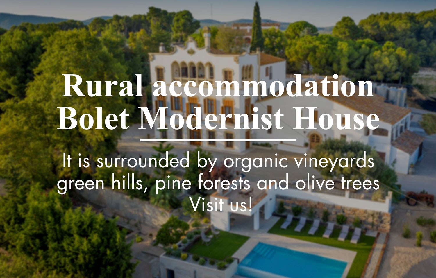 Alojamiento rural Bolet Casa Modernis