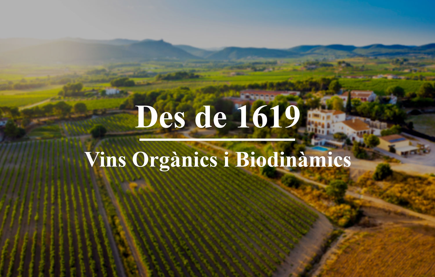 Cavas Bolet des de 1619 vins orgànics artesanals