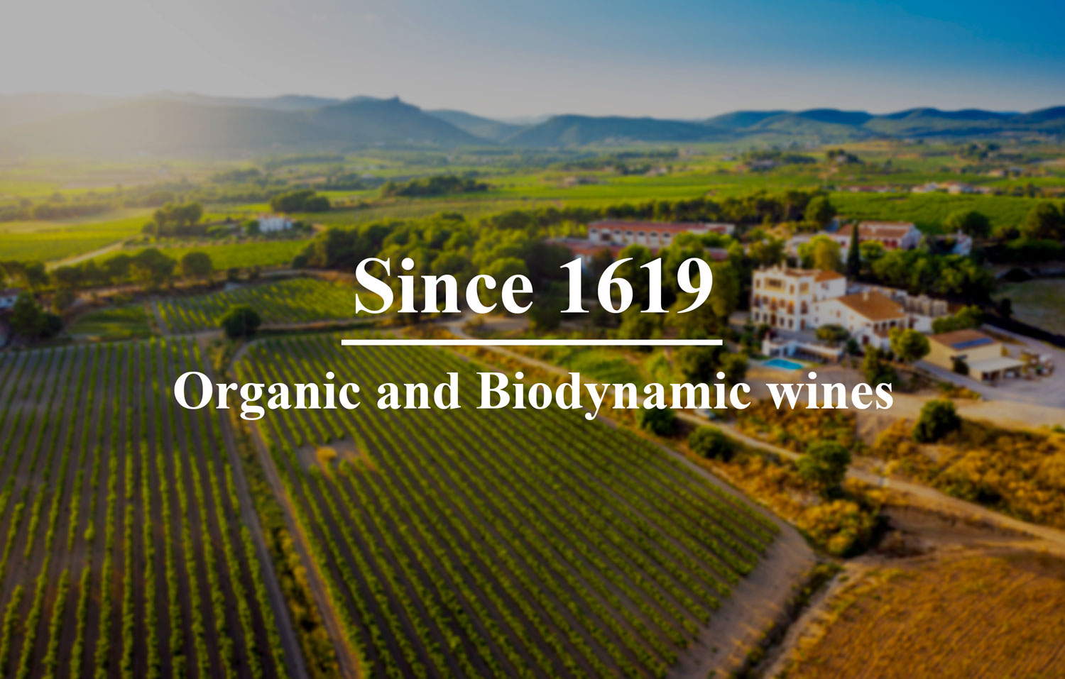 Cavas Bolet desde 1890 vinos organicos artesanales